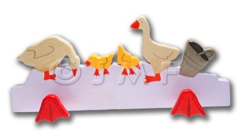  famille canard 